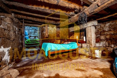 Villa i Celorico da Beira, Guarda, Celorico da Beira - € 19.900 | Ref: CAS_2197 - foto 15