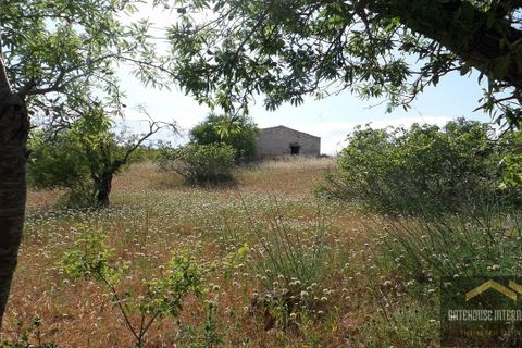 Helårsgrund i Albufeira, Faro, Albufeira - € 500.000 | Ref: azp_1009-2031 - foto 2