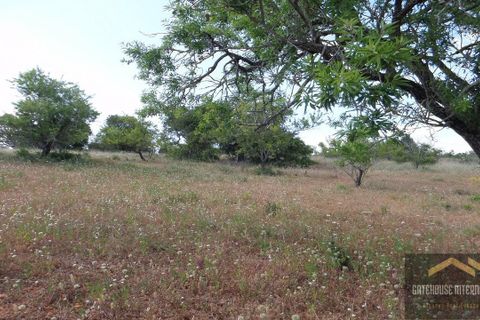 Helårsgrund i Albufeira, Faro, Albufeira - € 500.000 | Ref: azp_1009-2031 - foto 12