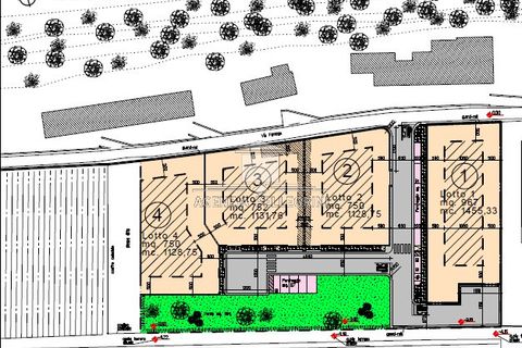 Terra a Arcugnano - Torri, Vicenza, Arcugnano - Torri - € 180.000 | Ref: F007 - foto 6