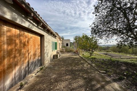 Landejendom i Sineu, Mallorca - foto 1
