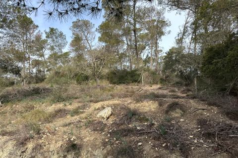 Landejendom i Sineu, Mallorca - foto 2