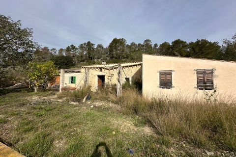 Landejendom i Sineu, Mallorca - foto 3