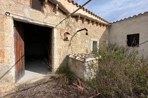 Landejendom i Sineu, Mallorca - foto 4
