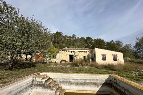 Landejendom i Sineu, Mallorca - foto 5