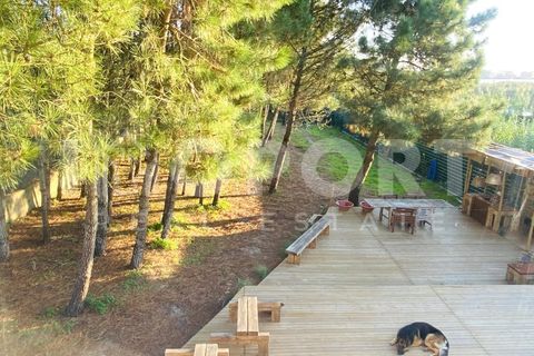 Villa i Torres Vedras, Lisbon, Torres Vedras - € 2.400.000 | Ref: MOR-90 - foto 14