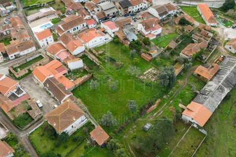 Terra a Condeixa-a-Nova, Coimbra, Condeixa-a-Nova - € 77.000 | Ref: LUX_CB-00750 - foto 2
