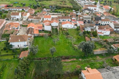 Terra a Condeixa-a-Nova, Coimbra, Condeixa-a-Nova - € 77.000 | Ref: LUX_CB-00750 - foto 4