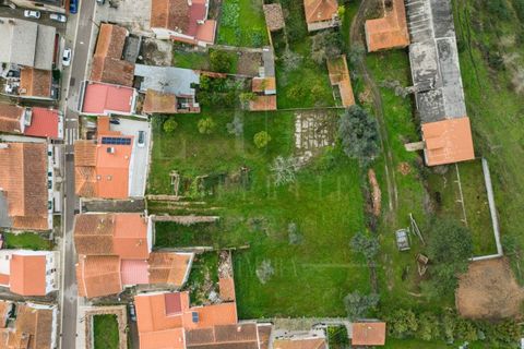 Terra a Condeixa-a-Nova, Coimbra, Condeixa-a-Nova - € 77.000 | Ref: LUX_CB-00750 - foto 5