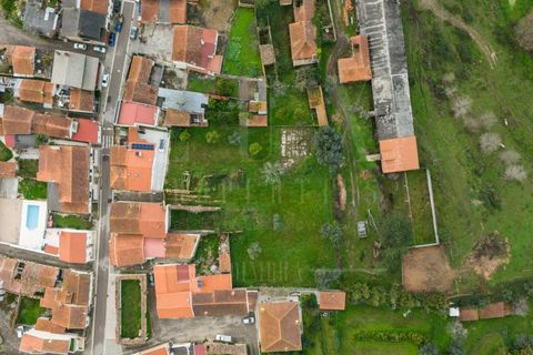 Terra a Condeixa-a-Nova, Coimbra, Condeixa-a-Nova - € 77.000 | Ref: LUX_CB-00750 - foto 7