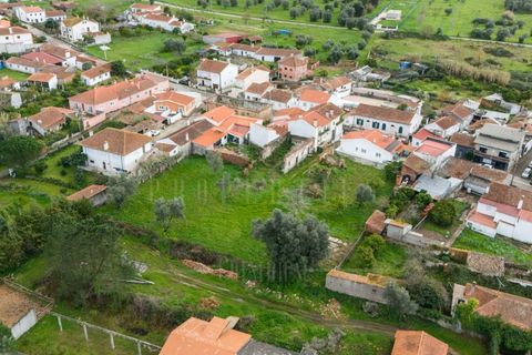 Terra a Condeixa-a-Nova, Coimbra, Condeixa-a-Nova - € 77.000 | Ref: LUX_CB-00750 - foto 8