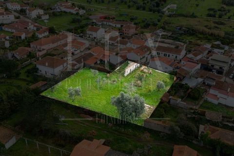 Terra a Condeixa-a-Nova, Coimbra, Condeixa-a-Nova - € 77.000 | Ref: LUX_CB-00750 - foto 9