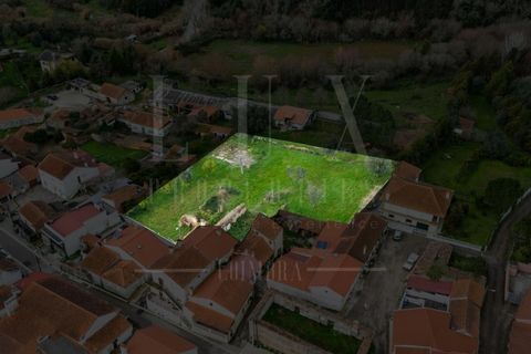 Terra a Condeixa-a-Nova, Coimbra, Condeixa-a-Nova - € 77.000 | Ref: LUX_CB-00750 - foto 11