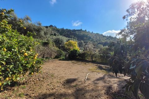Villa a Sayalonga, Malaga, Sayalonga - € 375.000 | Ref: C3939 - foto 32