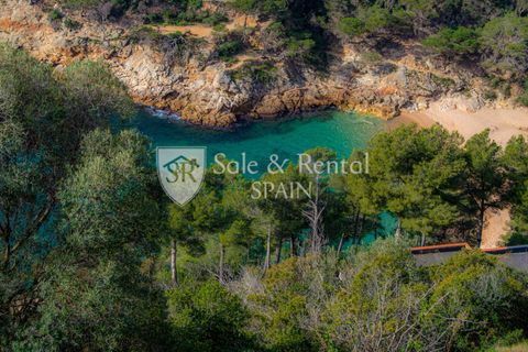 Villa a Tossa De Mar, Gerona, Tossa De Mar - € 2.650.000 | Ref: 2401 - foto 42