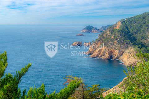 Villa a Tossa De Mar, Gerona, Tossa De Mar - € 2.650.000 | Ref: 2401 - foto 44