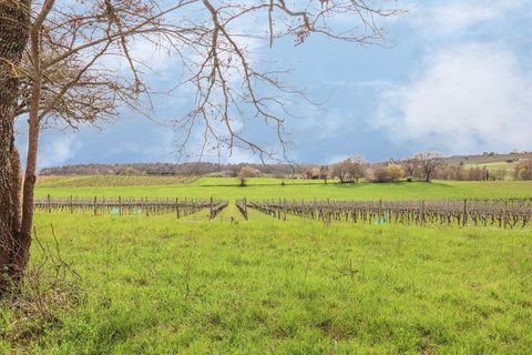 Villa a Pellegrue, Gironde, Pellegrue - € 945.000 | Ref: 73341 - foto 13
