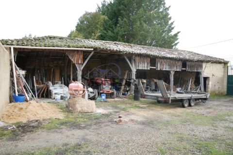 Erhvervsejendom i Marcellus, Lot-et-Garonne, Marcellus - € 306.800 | Ref: 4-24-01-07 - foto 16
