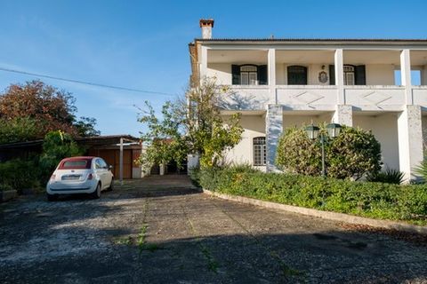Landsbyhus i Anadia, Aveiro, Anadia - € 360.000 | Ref: MM002407 - foto 11