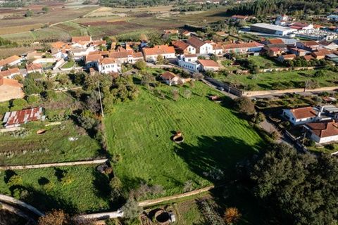 Landsbyhus i Anadia, Aveiro, Anadia - € 360.000 | Ref: MM002407 - foto 36