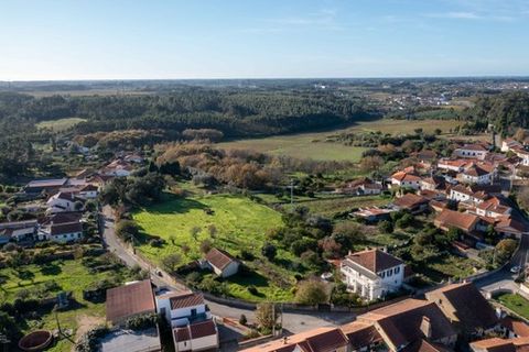 Landsbyhus i Anadia, Aveiro, Anadia - € 360.000 | Ref: MM002407 - foto 6