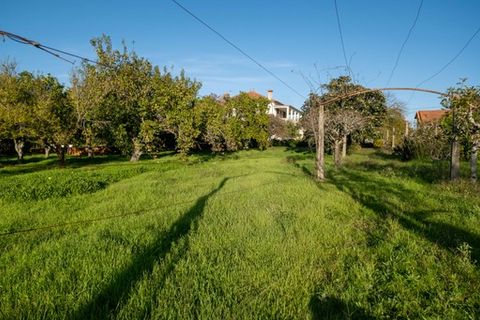 Landsbyhus i Anadia, Aveiro, Anadia - € 360.000 | Ref: MM002407 - foto 12