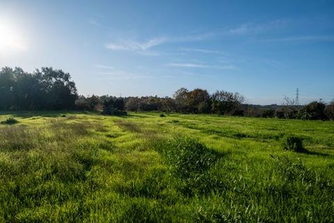 Landsbyhus i Anadia, Aveiro, Anadia - € 360.000 | Ref: MM002407 - foto 8
