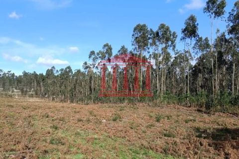 Helårsgrund i Barcelos, Braga, Barcelos - € 135.000 | Ref: 272T001021 - foto 1