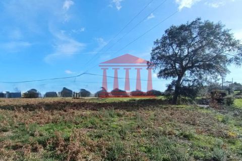 Helårsgrund i Barcelos, Braga, Barcelos - € 135.000 | Ref: 272T001021 - foto 4