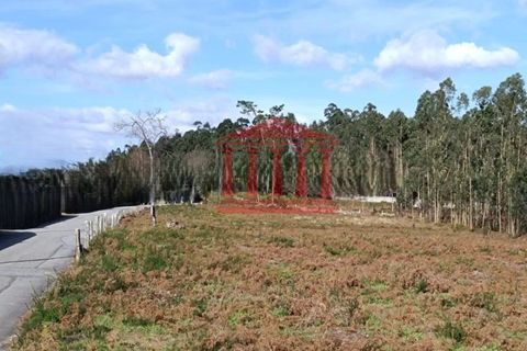 Helårsgrund i Barcelos, Braga, Barcelos - € 135.000 | Ref: 272T001021 - foto 6