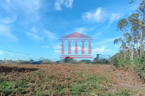 Helårsgrund i Barcelos, Braga, Barcelos - € 135.000 | Ref: 272T001021 - foto 7