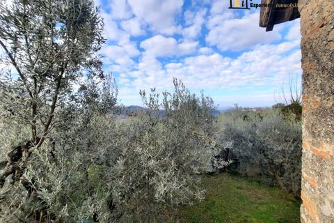 Erhvervsejendom i Casperia, Rieti, Casperia - € 43.000 | Ref: EFZ-745 - foto 7