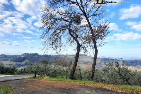 Erhvervsejendom i Casperia, Rieti, Casperia - € 43.000 | Ref: EFZ-745 - foto 8