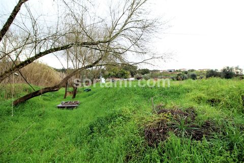 Helårsgrund i Silves, Faro, Silves - € 175.000 | Ref: Sort23201 - foto 7