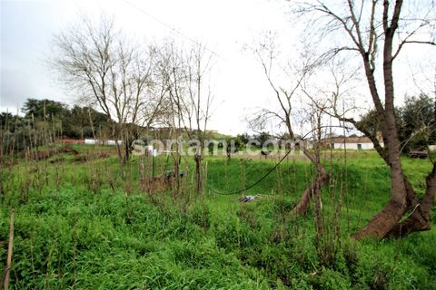 Helårsgrund i Silves, Faro, Silves - € 175.000 | Ref: Sort23201 - foto 8