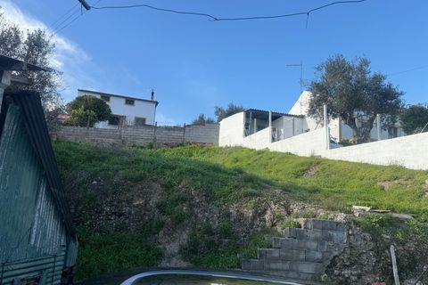 Helårsgrund i Macao, Santarem, Macao - € 18.500 | Ref: TER_111 - foto 2