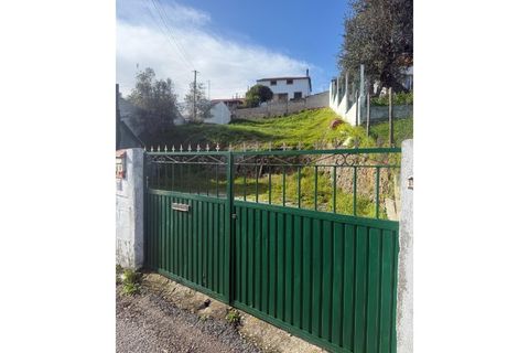 Helårsgrund i Macao, Santarem, Macao - € 18.500 | Ref: TER_111 - foto 4