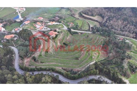 Farm i Amarante, Porto, Amarante - € 795.000 | Ref: MAS_402 - foto 6