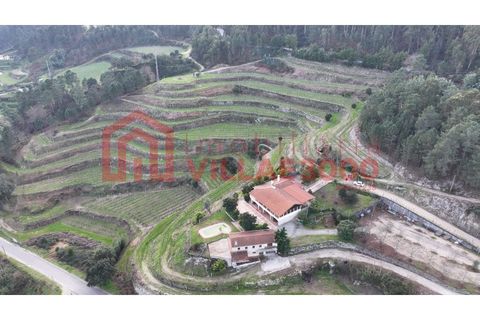 Farm i Amarante, Porto, Amarante - € 795.000 | Ref: MAS_402 - foto 7