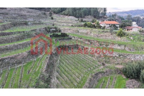 Farm i Amarante, Porto, Amarante - € 795.000 | Ref: MAS_402 - foto 13