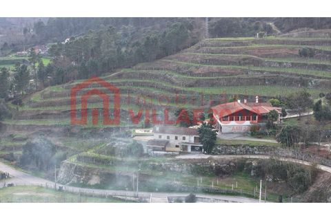 Farm i Amarante, Porto, Amarante - € 795.000 | Ref: MAS_402 - foto 15