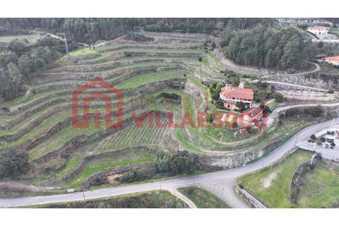 Farm i Amarante, Porto, Amarante - € 795.000 | Ref: MAS_402 - foto 16