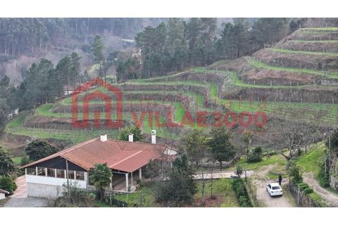Farm i Amarante, Porto, Amarante - € 795.000 | Ref: MAS_402 - foto 17