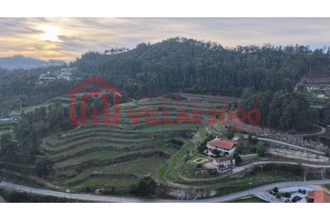 Farm i Amarante, Porto, Amarante - € 795.000 | Ref: MAS_402 - foto 18