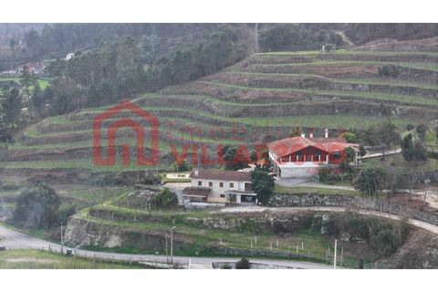 Farm i Amarante, Porto, Amarante - € 795.000 | Ref: MAS_402 - foto 19