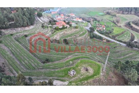 Farm i Amarante, Porto, Amarante - € 795.000 | Ref: MAS_402 - foto 20