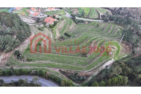 Farm i Amarante, Porto, Amarante - € 795.000 | Ref: MAS_402 - foto 23