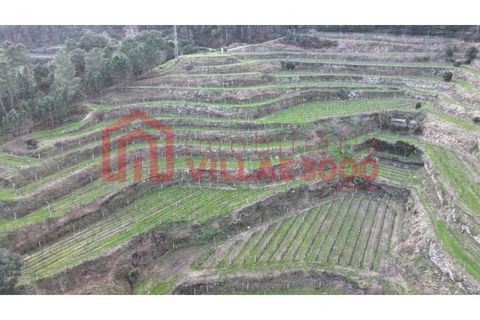 Farm i Amarante, Porto, Amarante - € 795.000 | Ref: MAS_402 - foto 24