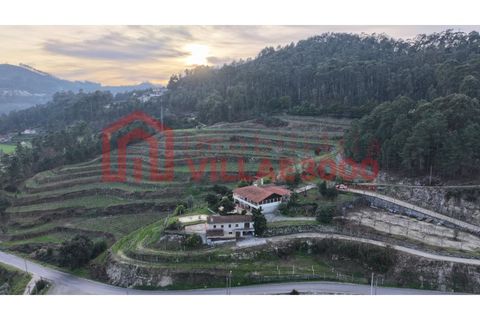 Farm i Amarante, Porto, Amarante - € 795.000 | Ref: MAS_402 - foto 25