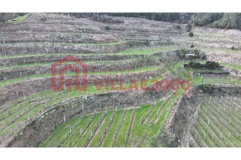 Farm i Amarante, Porto, Amarante - € 795.000 | Ref: MAS_402 - foto 27